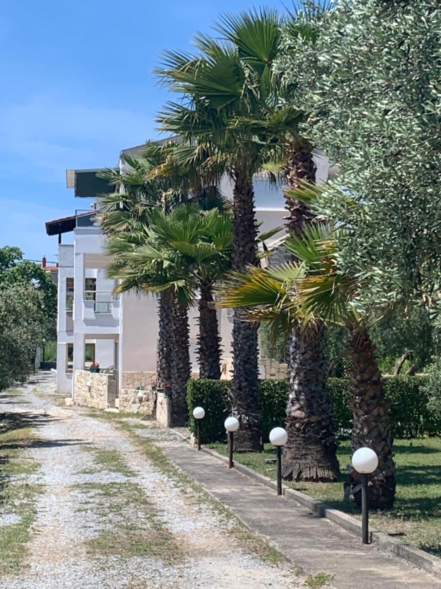 Villa Evita , Penthouse, 53M2 ,Athytos 450M From The Beach أفيتوس المظهر الخارجي الصورة