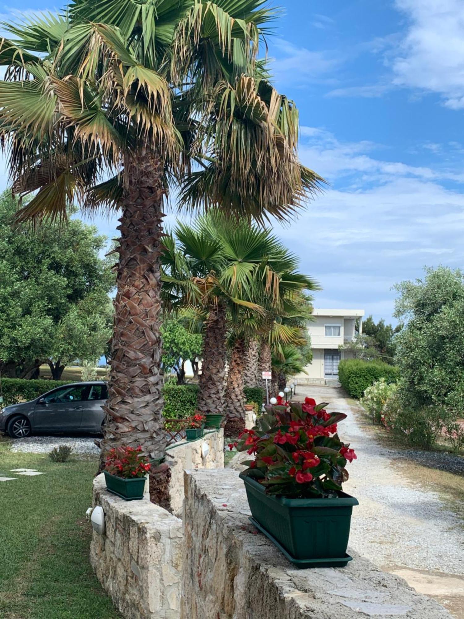 Villa Evita , Penthouse, 53M2 ,Athytos 450M From The Beach أفيتوس المظهر الخارجي الصورة